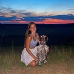 Alexa vom Banzger | Jagdhund. - @alexa_deutschkurzhaar - Instagram