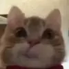 Alexa Edwards - @alexa.edwards - TikTok