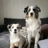 AlexandraEkberg5 - @alexandraekberg5 - TikTok