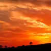 alexa guillen - @alexa.2183 - TikTok
