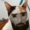 helo I am the mclovun - @alexander_thahooper - TikTok