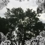 Alexa Leonard - @alexa.leonard.71066 - Instagram