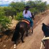 Ale Moya Ibáñez🌱🇨🇱🐴🐮 - @alexa_moya - TikTok
