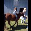 Alexa Pugh - @duhhits_alexa - TikTok