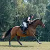 Alexa Ryan-Oat - @alexaro.eventing - TikTok