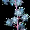 alexasnyder27768 - @alexasnyder27768 - TikTok