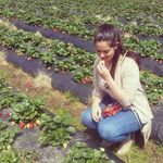Alexa Stern | Dietitian - @backtobasicsdietitian - Instagram