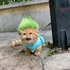 Alex W - @alexander_wirth - TikTok