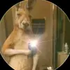 alex - @alexanderacero22 - TikTok