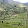 alexanderacero963 - @alexanderacero963 - TikTok