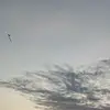 hohoho - @alexanderaja_ - TikTok