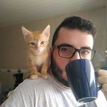 Alexander Almeida - @alexthewarg - Instagram