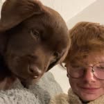 Alexander Andersen - @alexander4eyes - Instagram