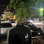 Alexander Andersen - @alxandrsnn - Instagram
