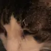 Alexander Andersen - @alexander.anderse - TikTok