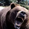 ALEXANDER ANTHONY ferroni - @alexander.anthony2 - TikTok