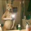 Alexander Carballo - @alexandercarballo018 - TikTok