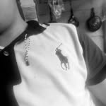 Alexander_arce - @alexander_arce_2010 - Instagram
