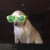 Alexander Archuleta - Facebook