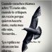 Alexander Ayala - Facebook