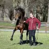 baginskialexander - @baginskialexander - TikTok