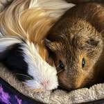 Alexander Baird - @baird157 - Instagram