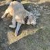 Alexander Baird - Facebook