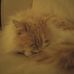 Alexander Baran - Facebook