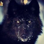 Alexander Beck - @alexander.beck.735 - Instagram