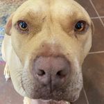 Alexanderbeeson - @borromenace - Instagram