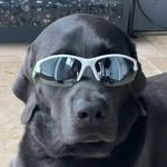 Alexander - @alexander_behr123 - Instagram