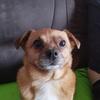 Alexander Beier - @alexander.beier - TikTok