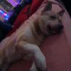 Nicole Beier Alexand - @nicolebeieralexander - TikTok