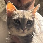 Alexander Belush - @aleksandr__belush - Instagram