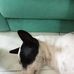 Alexander Bernal - Facebook