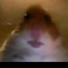Alexander Beyer155 - @alexanderbeyer5 - TikTok