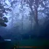 Bill Alexander - @billalexander42 - TikTok