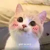 Бешеный актив - @alexanderbiryukov37 - TikTok