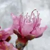Alexander Bjorkman - @alexanderbjorkman - TikTok
