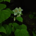 Alexander Blanton - @alexanderblanton9 - Instagram