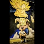 ALEX🦁 - @alexanderblas_ - Instagram