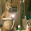 Alexander Blas - @alexander.blas54 - TikTok