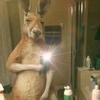 Alexander Blas - @alexander.blas7 - TikTok