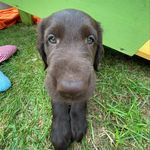 Alexander Blattner - @alexander_blattner - Instagram