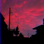 Alexander Blaze - @alexander.blaze.560 - Instagram