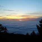 Bleicher Alexander - @bleicher.alexander.7 - Instagram