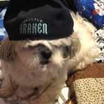 Alexander Bloom - @alexanderbloom36 - Instagram