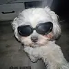 Alexander blu - @alexander26_11 - TikTok