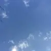 alexander.blue - @alexander.blue - TikTok