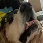 Alexander Blyth - @blyth0302 - Instagram